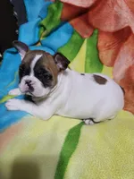 processed/3c27a0ef-e0b3-4bd5-8b48-9fbdde008b08/listing/3653cd25-785e-4fa1-8b96-4bf7b62e27fd/040096ad-ef42-4959-b541-35d9462a34c1