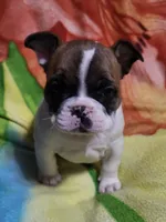 processed/3c27a0ef-e0b3-4bd5-8b48-9fbdde008b08/listing/3653cd25-785e-4fa1-8b96-4bf7b62e27fd/99d3a944-56cb-4580-b40a-6ae6e75d04ea