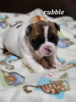 processed/3c27a0ef-e0b3-4bd5-8b48-9fbdde008b08/listing/3653cd25-785e-4fa1-8b96-4bf7b62e27fd/cc0eb178-3953-419d-bfe0-d8047930ba66