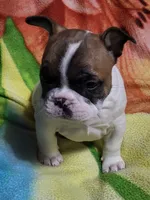 processed/3c27a0ef-e0b3-4bd5-8b48-9fbdde008b08/listing/3653cd25-785e-4fa1-8b96-4bf7b62e27fd/cefbca6f-2bb8-45ad-94f7-f9a13f18792a