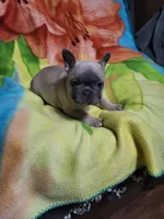 processed/3c27a0ef-e0b3-4bd5-8b48-9fbdde008b08/listing/3dae4d69-c267-4e97-a797-c457553216bb/0c661a69-5208-4e8f-93aa-83e81ce6ace0