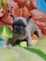 processed/3c27a0ef-e0b3-4bd5-8b48-9fbdde008b08/listing/3dae4d69-c267-4e97-a797-c457553216bb/3b39bab5-e9a6-46f3-9b6b-51dcd8302ef8