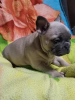 processed/3c27a0ef-e0b3-4bd5-8b48-9fbdde008b08/listing/3dae4d69-c267-4e97-a797-c457553216bb/4064b14f-5f62-4ceb-a5c3-8bfe2f1120df