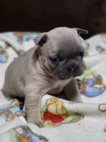 processed/3c27a0ef-e0b3-4bd5-8b48-9fbdde008b08/listing/3dae4d69-c267-4e97-a797-c457553216bb/426b2209-8d17-4f70-9cce-d78ac1a5870d