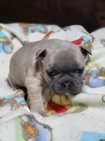 processed/3c27a0ef-e0b3-4bd5-8b48-9fbdde008b08/listing/3dae4d69-c267-4e97-a797-c457553216bb/e96bf806-134d-49ce-b578-58e02ede704a