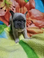 processed/3c27a0ef-e0b3-4bd5-8b48-9fbdde008b08/listing/3dae4d69-c267-4e97-a797-c457553216bb/f3d96bec-81cf-4e04-b376-aeecaeec6c43