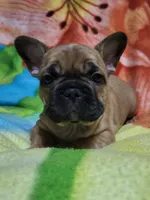 processed/3c27a0ef-e0b3-4bd5-8b48-9fbdde008b08/listing/8840f99f-5dff-4294-b4ed-53839b29b9d2/2bfeb6a2-88d7-4eed-8a69-915218d22292