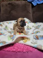 processed/3c27a0ef-e0b3-4bd5-8b48-9fbdde008b08/listing/8840f99f-5dff-4294-b4ed-53839b29b9d2/49ee61d3-5355-49c5-815b-a4bf0fba4c7a