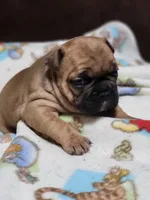 processed/3c27a0ef-e0b3-4bd5-8b48-9fbdde008b08/listing/8840f99f-5dff-4294-b4ed-53839b29b9d2/8863c0a6-9e8b-4094-a130-4c1896182c9a