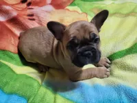 processed/3c27a0ef-e0b3-4bd5-8b48-9fbdde008b08/listing/8840f99f-5dff-4294-b4ed-53839b29b9d2/a12e8566-4bb9-4ccd-bcbd-0e1d5aa41145