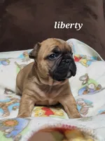 processed/3c27a0ef-e0b3-4bd5-8b48-9fbdde008b08/listing/8840f99f-5dff-4294-b4ed-53839b29b9d2/bc6f032e-f13b-4319-9e49-bdaa31d2545a