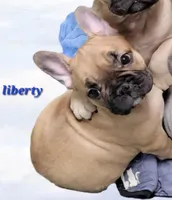 processed/3c27a0ef-e0b3-4bd5-8b48-9fbdde008b08/listing/8840f99f-5dff-4294-b4ed-53839b29b9d2/c2f4808a-fccf-4b2a-9437-09f4947f1ce0