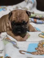 processed/3c27a0ef-e0b3-4bd5-8b48-9fbdde008b08/listing/8840f99f-5dff-4294-b4ed-53839b29b9d2/cad7cf19-43fe-46bb-b3b6-61161bb3015a