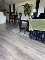 Millie, a female Chihuahua for sale in Cleveland, TX – 8 of 10