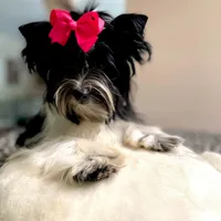 processed/3c2d4828-f6ab-480f-9ec4-4819837b9acb/facility/04cd4039-beed-4be7-8bc5-ee5a1eb4dc2b