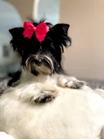 processed/3c2d4828-f6ab-480f-9ec4-4819837b9acb/facility/04cd4039-beed-4be7-8bc5-ee5a1eb4dc2b