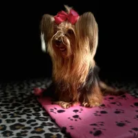 processed/3c2d4828-f6ab-480f-9ec4-4819837b9acb/facility/203ed797-715e-4a53-b841-1c4eb4d8f189