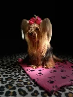 processed/3c2d4828-f6ab-480f-9ec4-4819837b9acb/facility/203ed797-715e-4a53-b841-1c4eb4d8f189