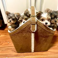 processed/3c2d4828-f6ab-480f-9ec4-4819837b9acb/facility/29c862cc-04cc-47a7-9540-271b5cbc1af6