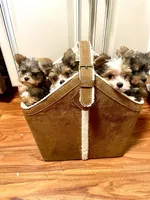 processed/3c2d4828-f6ab-480f-9ec4-4819837b9acb/facility/29c862cc-04cc-47a7-9540-271b5cbc1af6