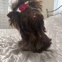 processed/3c2d4828-f6ab-480f-9ec4-4819837b9acb/facility/3164d166-2c21-445b-b482-860dcc7a2966