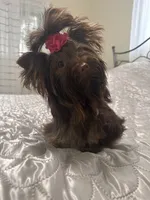 processed/3c2d4828-f6ab-480f-9ec4-4819837b9acb/facility/3164d166-2c21-445b-b482-860dcc7a2966