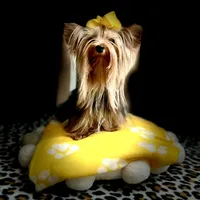 processed/3c2d4828-f6ab-480f-9ec4-4819837b9acb/facility/7aefff0f-9e24-49d1-8629-424380f15c52