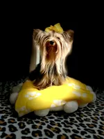 processed/3c2d4828-f6ab-480f-9ec4-4819837b9acb/facility/7aefff0f-9e24-49d1-8629-424380f15c52