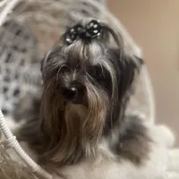 processed/3c2d4828-f6ab-480f-9ec4-4819837b9acb/facility/a903f538-4458-4a0a-ab22-dd775061c7be