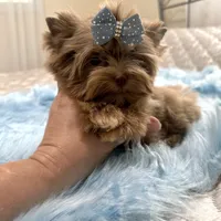 processed/3c2d4828-f6ab-480f-9ec4-4819837b9acb/facility/d31587c5-425e-4e42-b1e3-2c80fff539cb