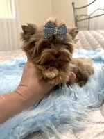 processed/3c2d4828-f6ab-480f-9ec4-4819837b9acb/facility/d31587c5-425e-4e42-b1e3-2c80fff539cb