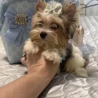 processed/3c2d4828-f6ab-480f-9ec4-4819837b9acb/facility/d4c73949-4027-4ed5-b621-ef276f36c704