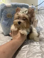 processed/3c2d4828-f6ab-480f-9ec4-4819837b9acb/facility/d4c73949-4027-4ed5-b621-ef276f36c704