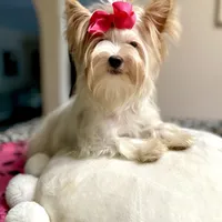 processed/3c2d4828-f6ab-480f-9ec4-4819837b9acb/facility/d7da45dd-dfd5-4668-ba6f-f0f67ffe3159