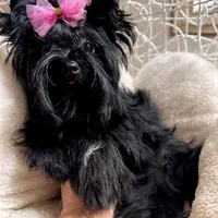 processed/3c2d4828-f6ab-480f-9ec4-4819837b9acb/facility/f5f9ece5-3c8b-4cfb-8aa1-d39b807702c2