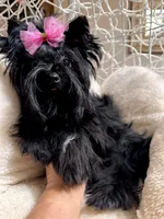 processed/3c2d4828-f6ab-480f-9ec4-4819837b9acb/facility/f5f9ece5-3c8b-4cfb-8aa1-d39b807702c2