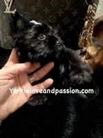 processed/3c2d4828-f6ab-480f-9ec4-4819837b9acb/listing/69610772-614b-435a-9fa3-e62a81171040/0eadaf7b-3b19-4b85-ba7f-e518b780bfef