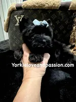 processed/3c2d4828-f6ab-480f-9ec4-4819837b9acb/listing/69610772-614b-435a-9fa3-e62a81171040/1648d7fe-d6fd-4eda-a94e-19233db6d443