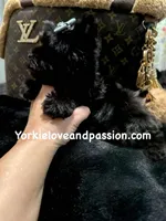 processed/3c2d4828-f6ab-480f-9ec4-4819837b9acb/listing/69610772-614b-435a-9fa3-e62a81171040/171877bd-f10f-48d8-a853-ed9b8515870f