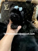 processed/3c2d4828-f6ab-480f-9ec4-4819837b9acb/listing/69610772-614b-435a-9fa3-e62a81171040/260d1f83-95d5-4215-ad62-9bc455a306ed