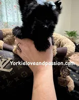 processed/3c2d4828-f6ab-480f-9ec4-4819837b9acb/listing/69610772-614b-435a-9fa3-e62a81171040/3e6418f6-0739-42ad-85c1-b11059904117