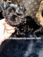 processed/3c2d4828-f6ab-480f-9ec4-4819837b9acb/listing/69610772-614b-435a-9fa3-e62a81171040/740beba6-ef36-4276-95c0-7a22fd05713d