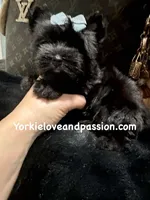 processed/3c2d4828-f6ab-480f-9ec4-4819837b9acb/listing/69610772-614b-435a-9fa3-e62a81171040/7927277b-e543-4ffa-bd70-2381cb97f1d5