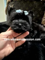 processed/3c2d4828-f6ab-480f-9ec4-4819837b9acb/listing/69610772-614b-435a-9fa3-e62a81171040/96374408-0083-4fbd-b7dc-be798af6088d