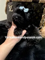 processed/3c2d4828-f6ab-480f-9ec4-4819837b9acb/listing/69610772-614b-435a-9fa3-e62a81171040/ecbbb4c6-769e-486d-a10b-8dae307a87ef