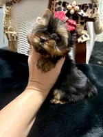 processed/3c2d4828-f6ab-480f-9ec4-4819837b9acb/listing/74b1bcfb-3676-4bec-b48b-0234c0887a2b/18abdb70-8b91-4f87-b179-8d5bcc279f05