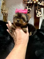 processed/3c2d4828-f6ab-480f-9ec4-4819837b9acb/listing/74b1bcfb-3676-4bec-b48b-0234c0887a2b/480fa4b4-5817-4594-b571-f639bd4dfff5