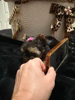 processed/3c2d4828-f6ab-480f-9ec4-4819837b9acb/listing/74b1bcfb-3676-4bec-b48b-0234c0887a2b/94e0dc67-aea2-4774-89da-fd39d72cea04