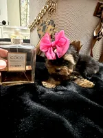 processed/3c2d4828-f6ab-480f-9ec4-4819837b9acb/listing/74b1bcfb-3676-4bec-b48b-0234c0887a2b/958912b5-6feb-4d86-aeff-dd7db984f31e