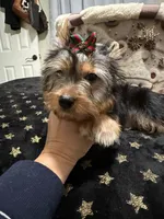 processed/3c2d4828-f6ab-480f-9ec4-4819837b9acb/listing/dd13ee8f-1b26-446f-b201-ab92af917669/00a3574d-e9de-47aa-bccc-eee10b5124fc